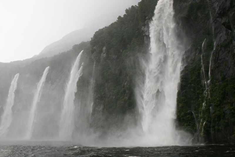 Nieuw-Zeeland 2011 - 1694
